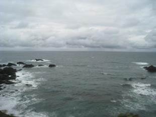 ����: ����: IMG_0756