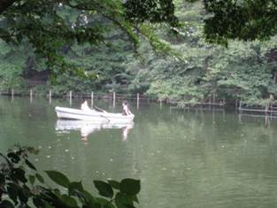 ����: ����: IMG_0508