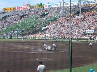 ����: ����: IMG_4531