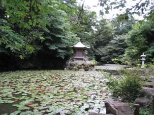 ����: ����: IMG_2226