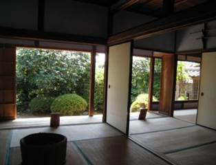 ����: ����: IMG_2329