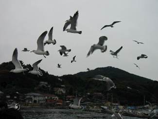 ����: ����: �����߂Q