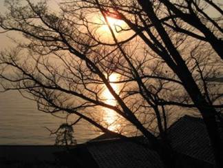 ����: ����: IMG_3230