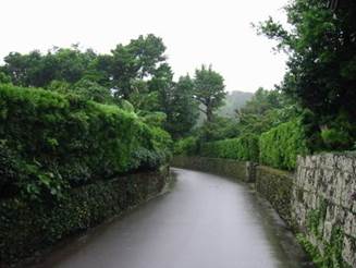 ����: ����: 105-0509_IMG