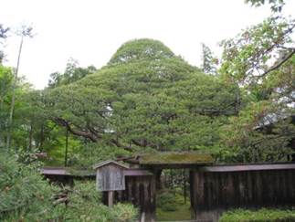 ����: ����: IMG_3337