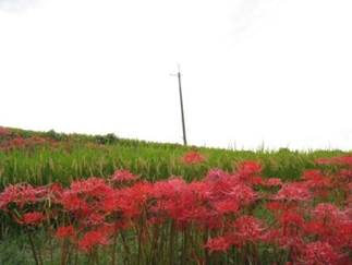 ����: ����: IMG_0326