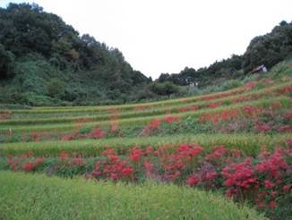 ����: ����: IMG_0323