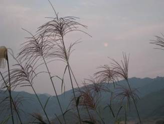 ����: ����: IMG_0340