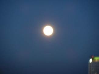 ����: ����: P7150001