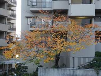 ����: ����: PC040154