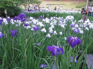 ����: ����: ����: ����: ����: ����: ����: ����: ����: ����: ����: ����: ����: ����: ����: ����: ����: ����: IMG_1004