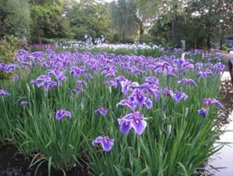 ����: ����: ����: ����: ����: ����: ����: ����: ����: ����: ����: ����: ����: ����: ����: ����: ����: ����: IMG_1007