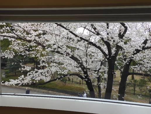 �Ⴊ�ς�������

�����x�̐��x�Ŏ����I�ɐ������ꂽ����