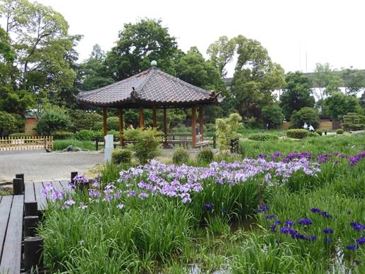 ���̉Ԃ��炢�Ă����

�����x�̐��x�Ŏ����I�ɐ������ꂽ����