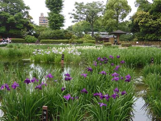 �s���N�̉Ԃ��炢�Ă���Ԓd

�����x�̐��x�Ŏ����I�ɐ������ꂽ����